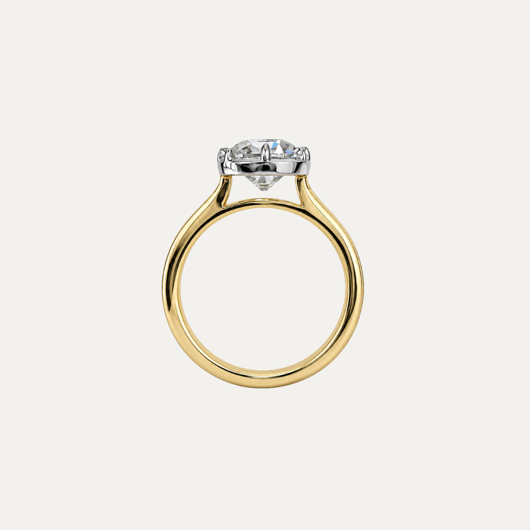 The LH Georgian Ring