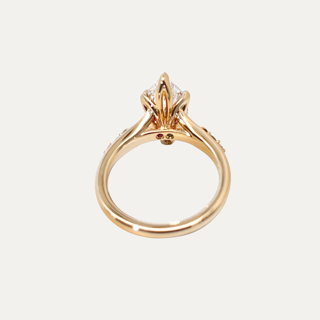 The Arabella Ring