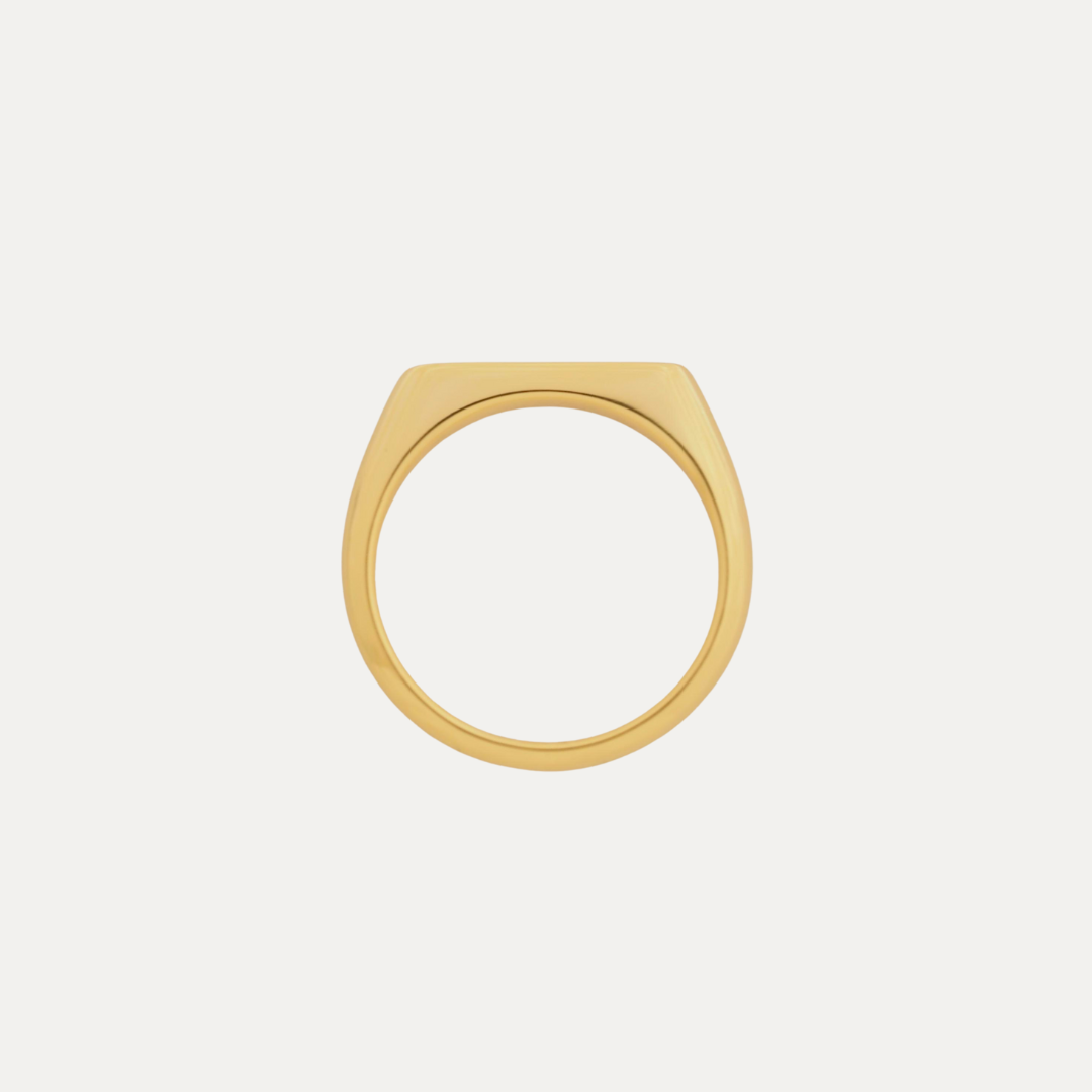 Sanctuary Bar Signet Ring