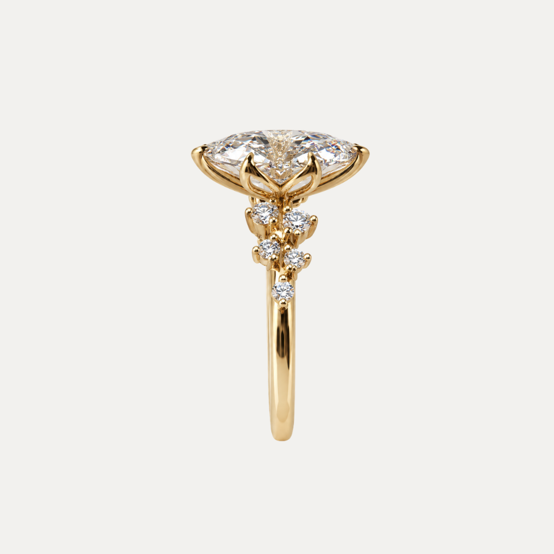 The Beau Ring