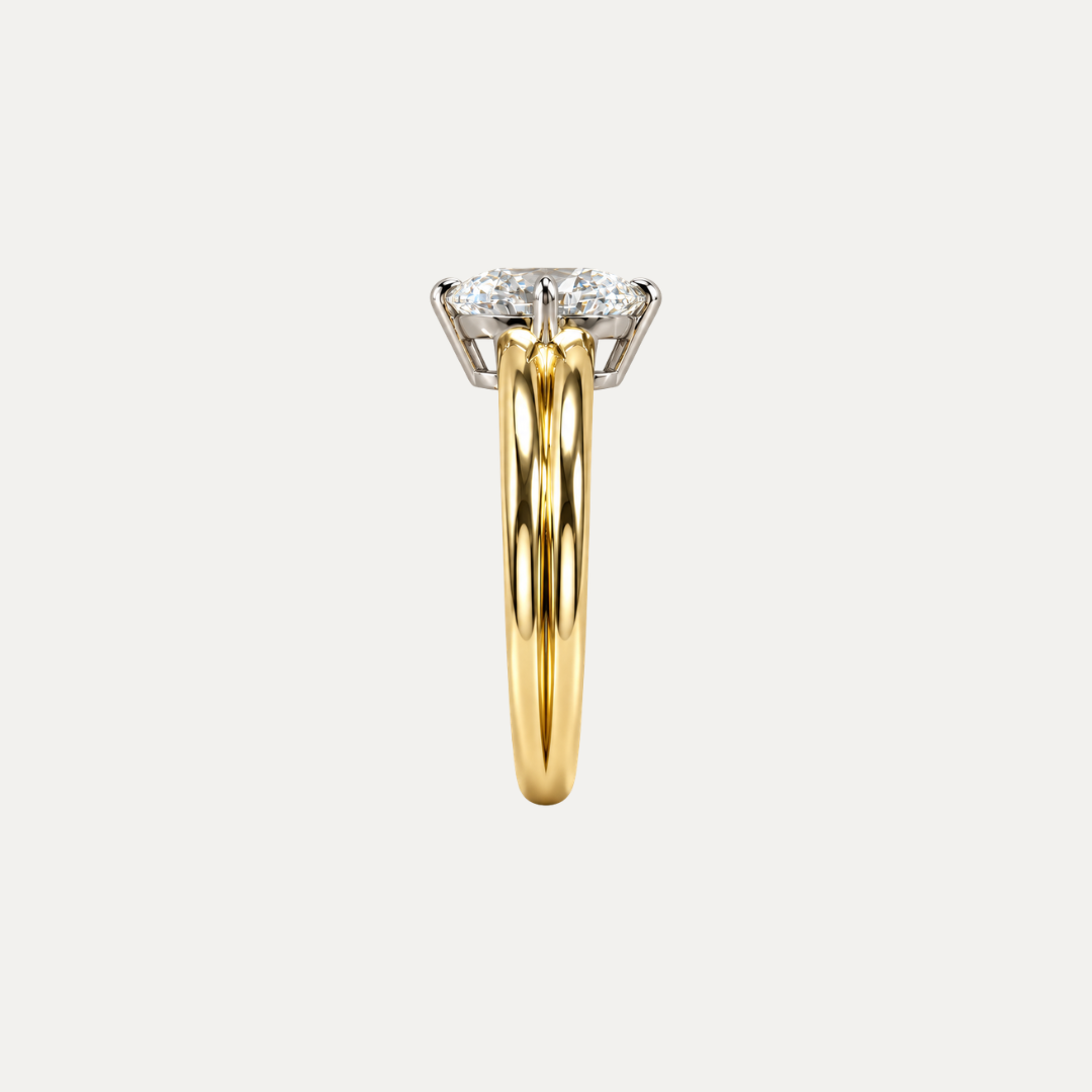 The Svette Ring