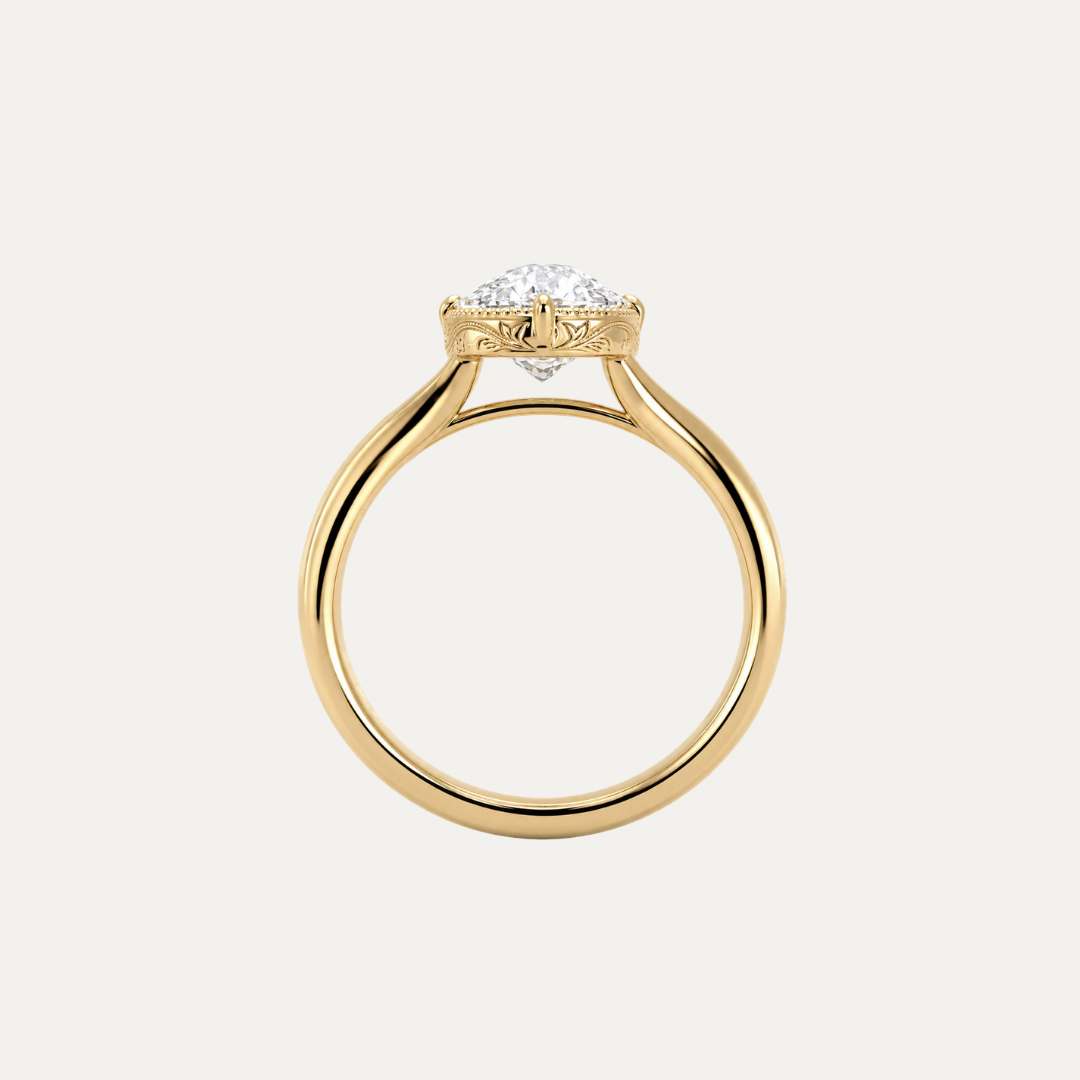 The Wien Ring
