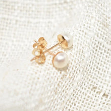 Load image into Gallery viewer, Gold filled Pearl studs [5mm]
