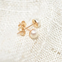 Load image into Gallery viewer, Gold filled Pearl studs [5mm]
